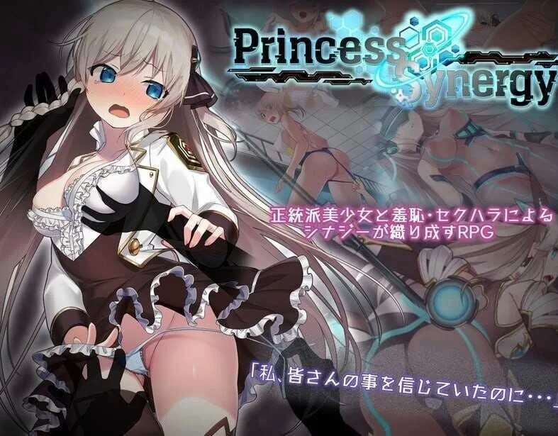 [神级RPG/NTR/全动态] 公主协同效应 25年10月 AI汉化版【2.4G】-小白资源网